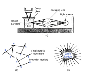 Brownian motion 