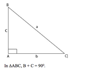 Trigonometric Ratios 